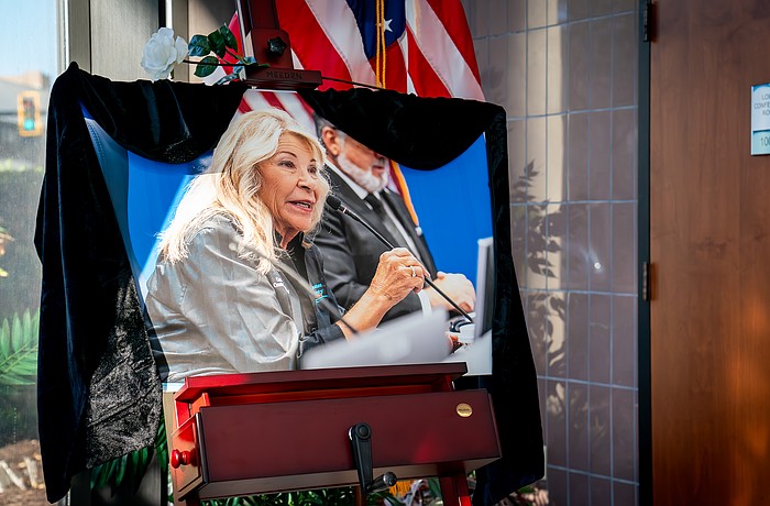 Manatee County's District 1 commission seat was left vacant after Carol Felts died suddenly Feb. 24.