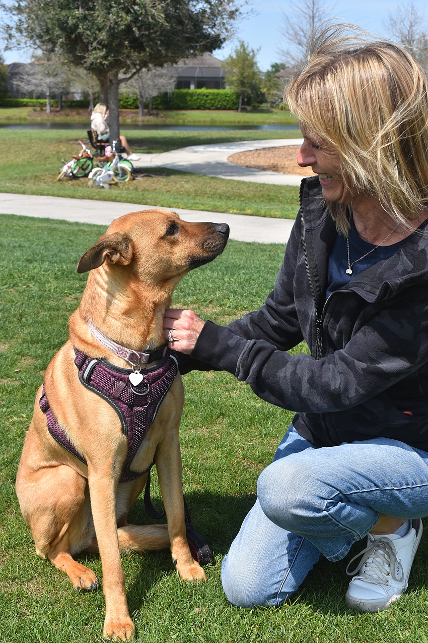 River Club’s Heidi Leto and Lucy, her 7-year-old German shepherd and boxer mix, are members of Dogs of Lakewood Ranch and found their dog sitter through the group.