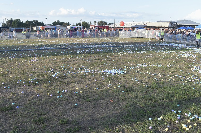 Eggs are distributed in the field as the crowd awaits an egg hunt.