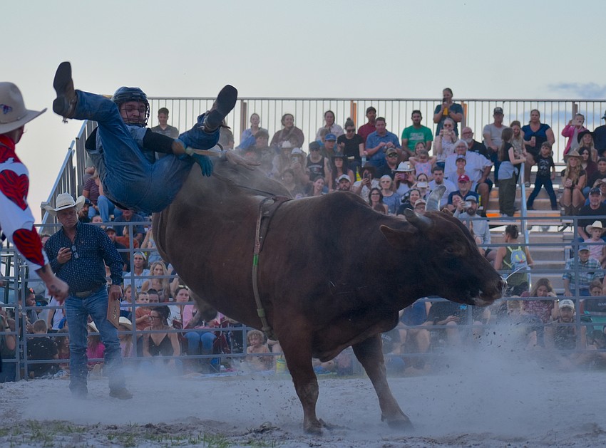 Yuri Charles gets bucked off by a bull at the Dakin Dairy Farms' Easter Bull Bash April 4.