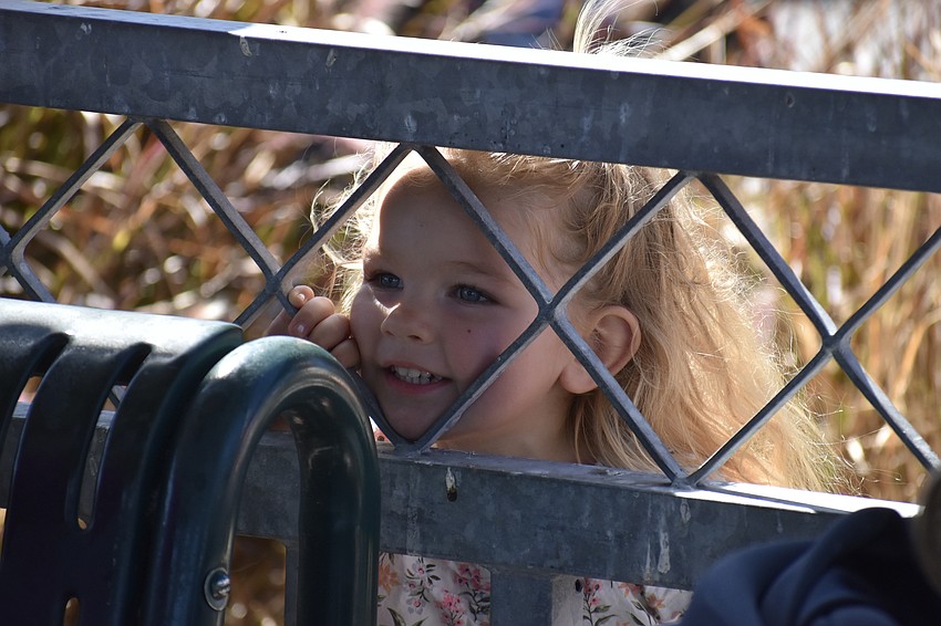 Ivy O'Donnell, 2, watches the Easter Bunny through the gazebo fence.