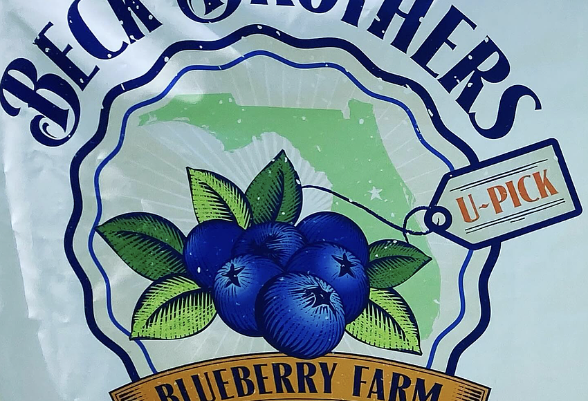 Beck Brothers Blueberries U-pick open for 2026 season | West Orange ...