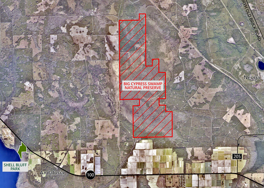 Big Cypress Swamp Natural Preserve will be the largest ESL purchase Flagler County has made. Courtesy photo Big Cypress Swamp Natural Preserve will be the largest ESL purchase Flagler County has made. Courtesy photo