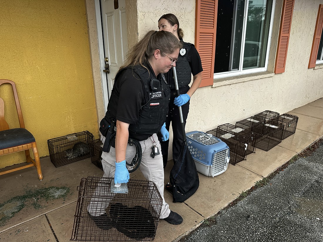 A Volusia County Animal Control officer carries a cat out of the At-Home Express Tangerine Inn in DeLand. Courtesy photo