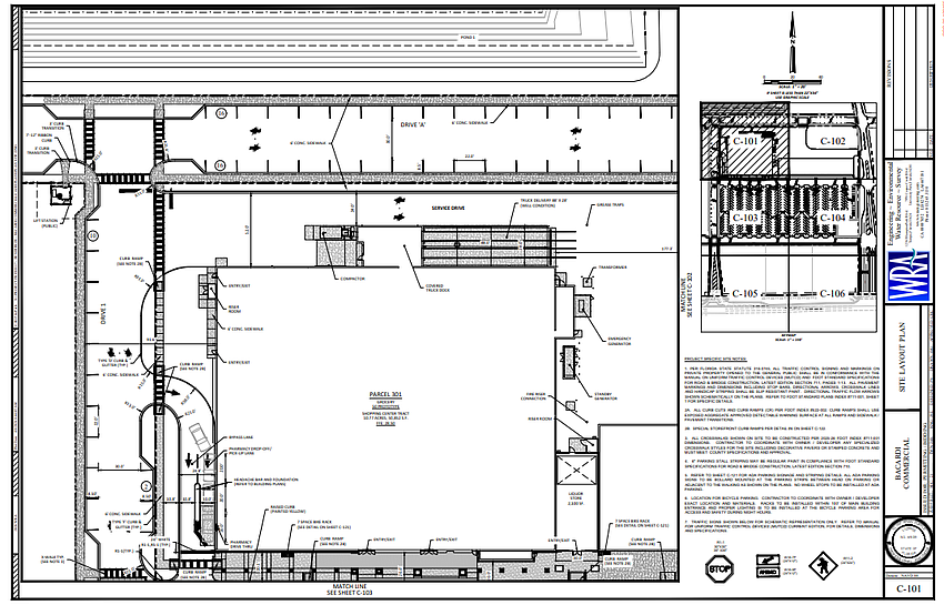 The city is reviewing site development plans for a Publix Super Markets Inc. store, Publix Liquors and adjacent retail space on land owned by Benderson Development Co. in North Jacksonville.