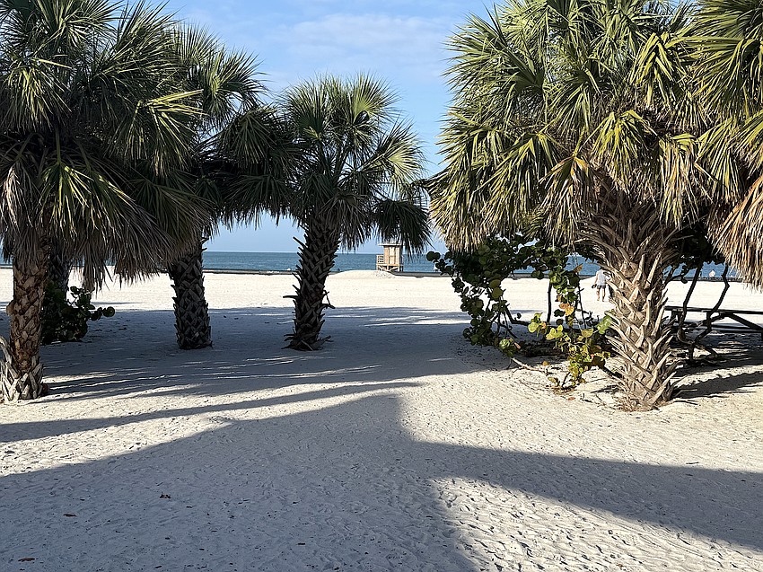 A view of Lido Beach from the Pavilion, which currently has no dune protection.