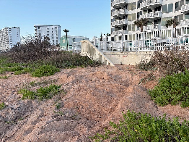 The nest was laid the evening of Thursday, April 9, in Ormond Beach by a leatherback sea turtle. Courtesy photo