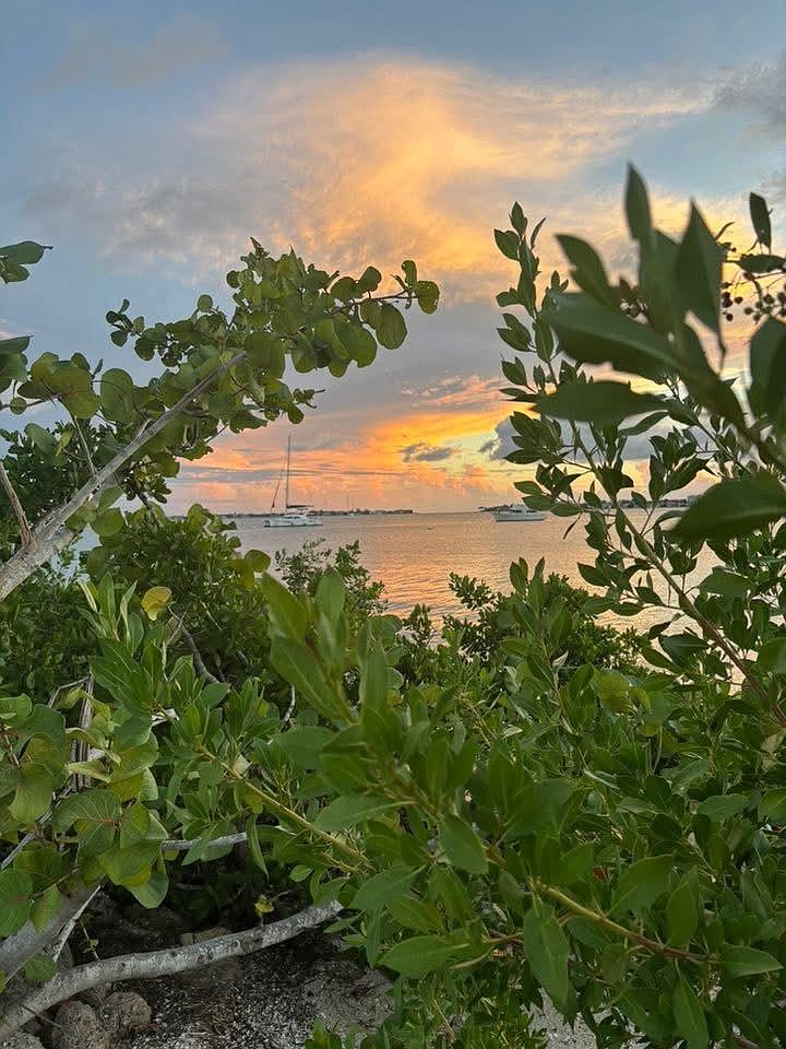 Kelly Taylor took this photo of the sunsetting at Bayfront Park in Sarasota.