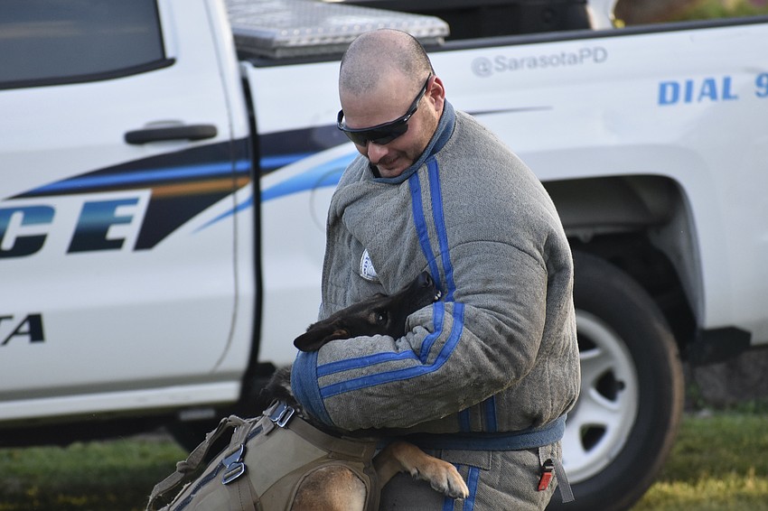 Officer Michael Colatorti, with his protective wear in the grip of Brody's jaw, offers a demonstration of the K-9 unit.