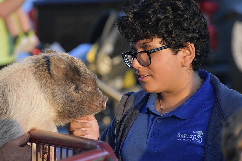 Gabriel Robles, 12, pets a pig at the petting zoo.