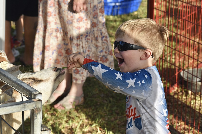 Jack Nichols, 3, feeds a goat.