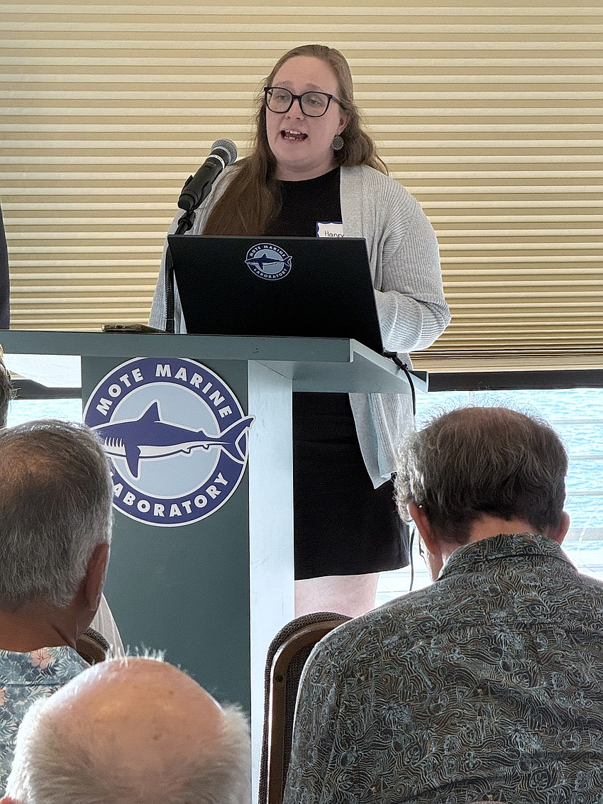 Hannay Brechue of the Sarasota County Stormwater Division said county-funded storm resilience work at St. Armands may begin by 2029.