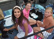 Lakewood Ranch's Adriana Fil, Mya Fil and Charlotte Miller greet adoptable puppies from Nate's Honor Animal Rescue Center at Woofstock on Lakewood Main Street.