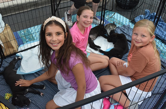 Lakewood Ranch's Adriana Fil, Mya Fil and Charlotte Miller greet adoptable puppies from Nate's Honor Animal Rescue Center at Woofstock on Lakewood Main Street.