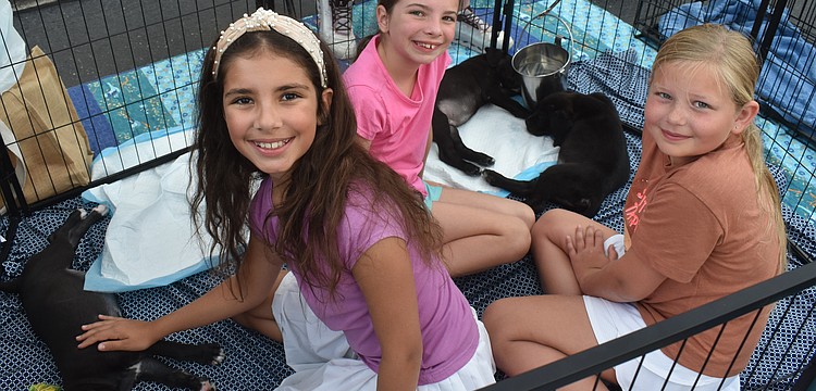 Lakewood Ranch's Adriana Fil, Mya Fil and Charlotte Miller greet adoptable puppies from Nate's Honor Animal Rescue Center at Woofstock on Lakewood Main Street.