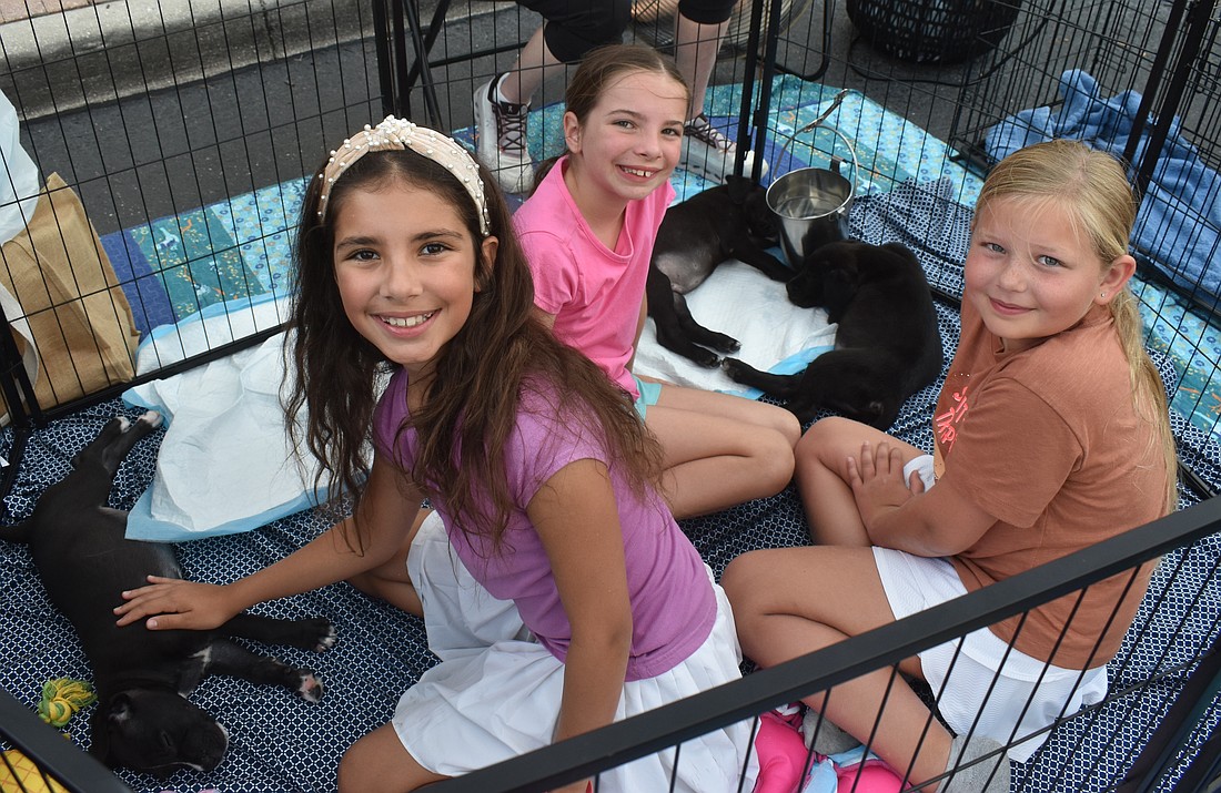 Lakewood Ranch's Adriana Fil, Mya Fil and Charlotte Miller greet adoptable puppies from Nate's Honor Animal Rescue Center at Woofstock on Lakewood Main Street.