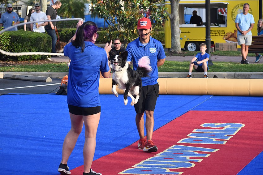 Brittany James and Yonelle Otero swing the rope to allow Static, a 5-year-old Border collie, to jump rope during the Puppy Pals Live Show.