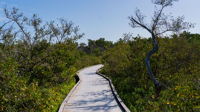 The boardwalks at Joan M. Durante Park weave through salt marshes Tuesday, April 21.
