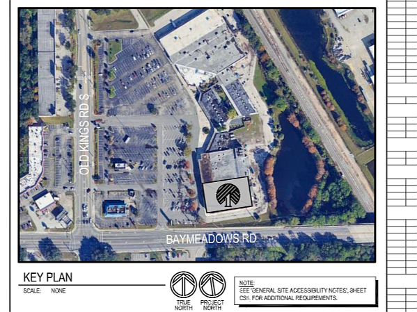 Commercial real estate company represents the landlord of Brierwood Village Plaza, where discount grocer Aldi is leasing the closed Winn-Dixie supermarket. Aldi has opened in about half of the space and will lease most of the rest to Dollar Tree, a building permit shows.
