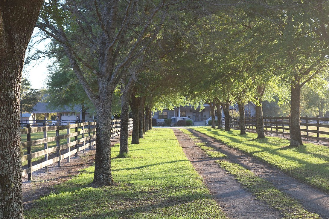 Once a private homestead, the 246-acre River & Roots Ranch is being transformed "into a living testament to regenerative farming, authentic wilderness, holistic wellness, and profound connection," according to riverandrootsranch.com.