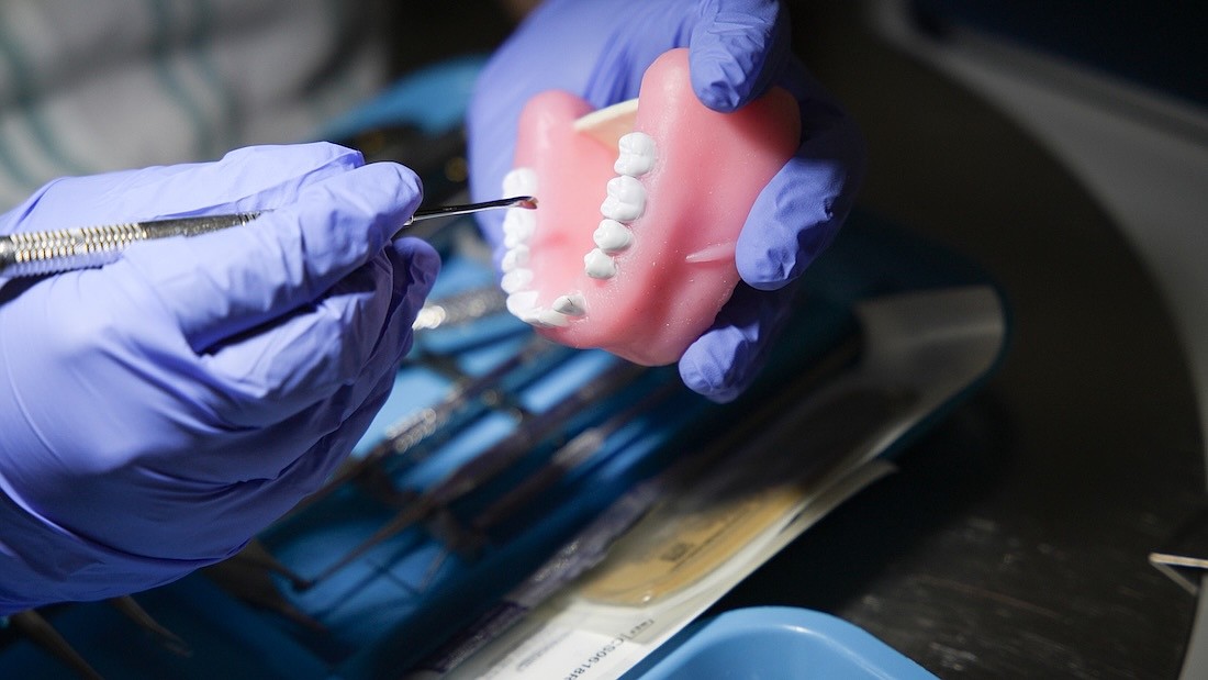 Based in Sarasota, Dental Care Alliance supports more than 400 affiliated practices and 900 dentists across 24 states.