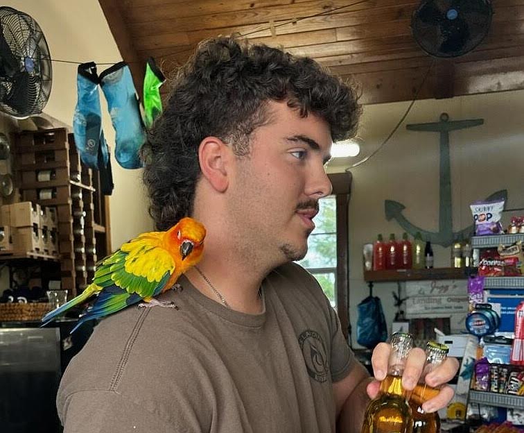 James Kleiner, who is working at Jiggs Landing for his grandmother, concession owner Denise Kleiner, made fast friends with Shiloh, the lost pet parrot.