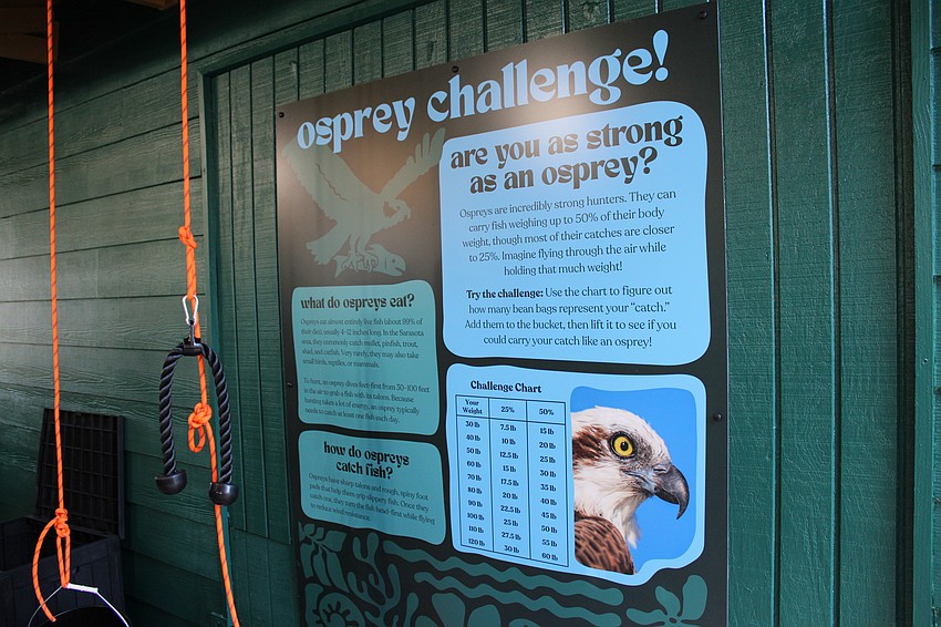 Among the additions to the Save Our Seabirds outdoor education space is an interactive display where visitors can test their strength against that of an osprey. Executive director Brian Walton said even more coordinating signage should be going up soon around the education center.