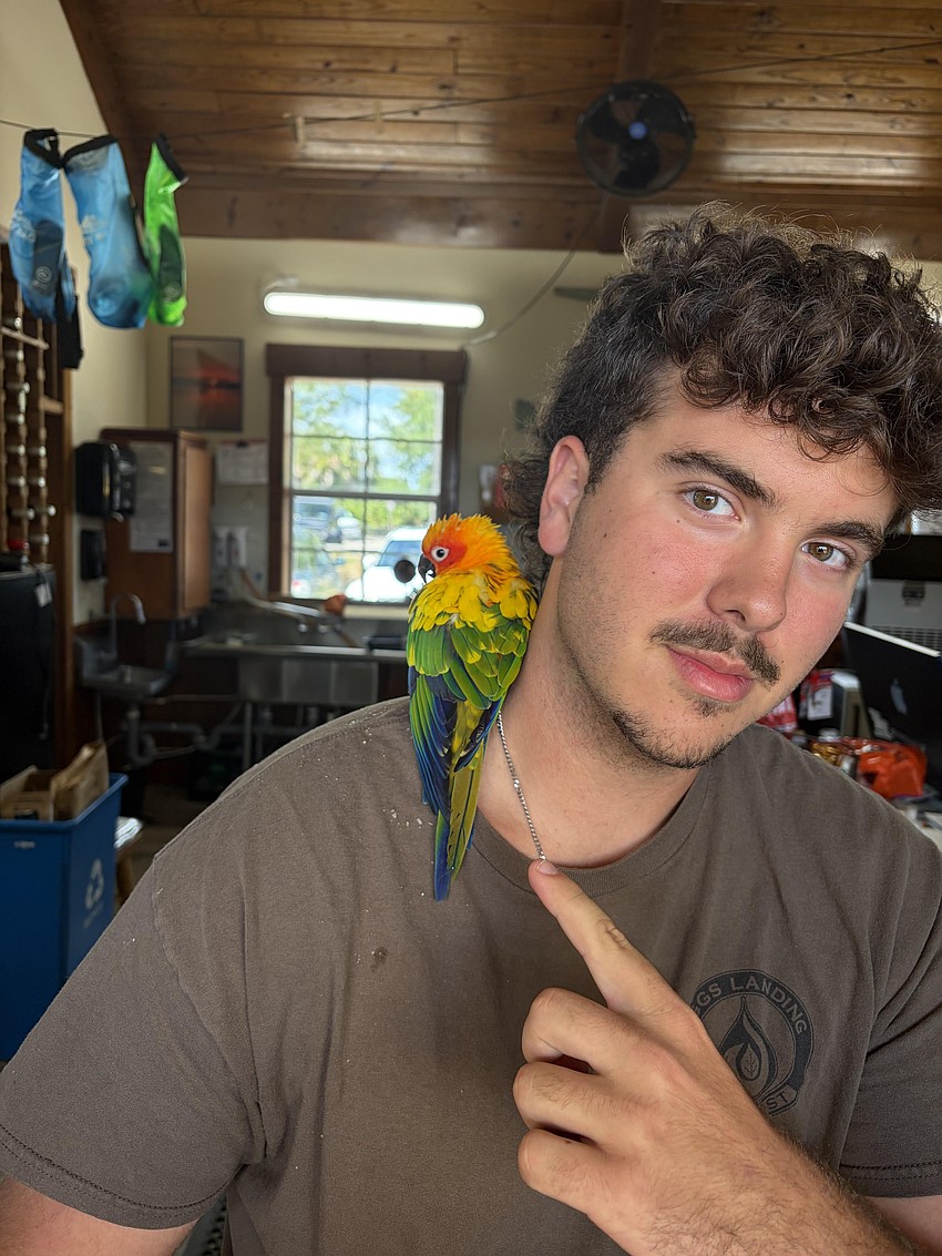 James Kleiner, who is working at Jiggs Landing for his grandmother, concession owner Denise Kleiner, made fast friends with Shiloh, the lost pet parrot.