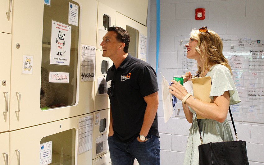 Logan Dorsey and Katlyn Deak peer at some of the cats getting ready to be adopted at the Humane Society of Sarasota County.