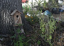 Members of the community can obtain plots in the garden.