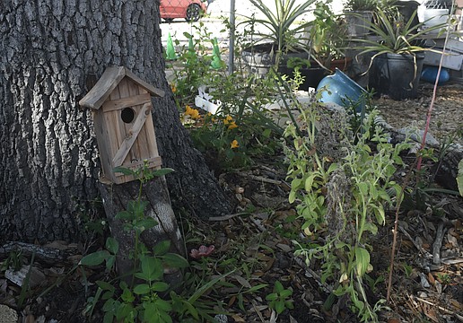 Members of the community can obtain plots in the garden.