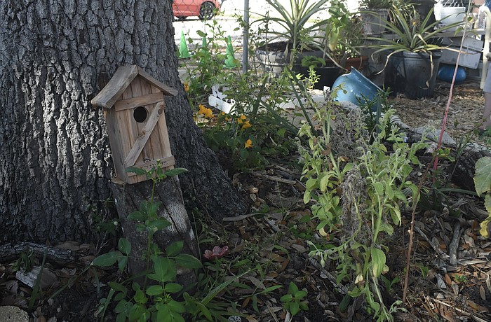 Members of the community can obtain plots in the garden.