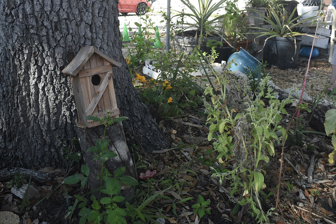 Members of the community can obtain plots in the garden.