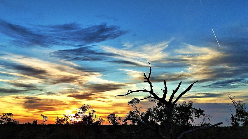 Gordon Silver took this drone shot high above the tree tops in Del Webb at Lakewood Ranch.