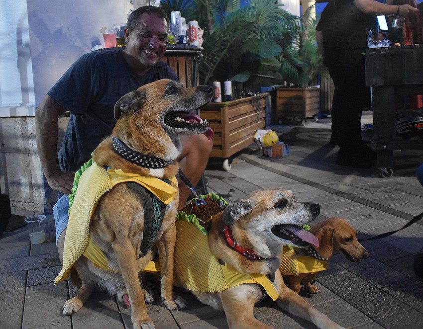 Waterside's David Schicht dressed his dogs, Waylon Jennings, Skylar Marie and Clarence Carter, for Cinco de Mayo.