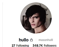 Mason Hull has more than 300,000 followers on TikTok.