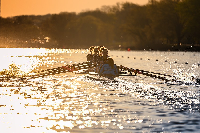 At the Knecht Cup from April 11-12, Sophie Bell rowed with Old Dominion's second varsity eight. Their boat placed 11th out of 32 — better than the Monarchs' first varsity eight, which finished 16th out of 34. At the Knecht Cup from April 11-12, Sophie Bell rowed with Old Dominion's second varsity eight. Their boat placed 11th out of 32 — better than the Monarchs' first varsity eight, which finished 16th out of 34.