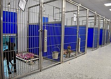 The main building at the Bishop Animal Shelter has 52 dog kennels. The expansion adds 120 more kennels.