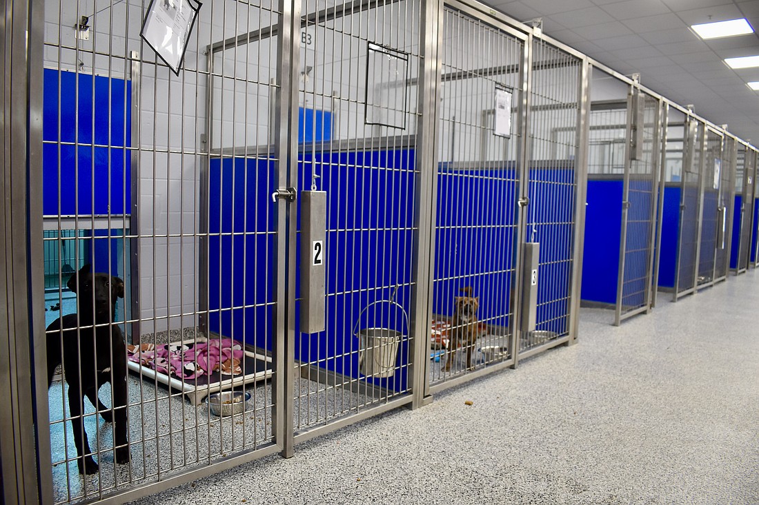 The main building at the Bishop Animal Shelter has 52 dog kennels. The expansion adds 120 more kennels.