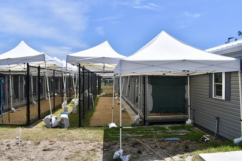 Temporary tents provide shade until the permanent shade structures are installed.
