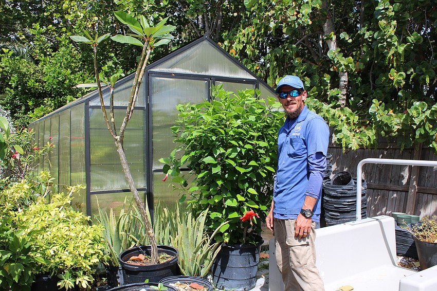 Eric Brown showcases some of the plants thriving in Longboat Harbour Condominiums' greenhouse, including an impressive hibiscus bush.