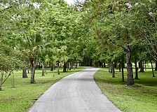 Triple Oak Preserve in Myakka City is one of the purchases Manatee County made using funds collected from the 2020 referendum.