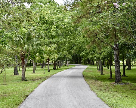 Triple Oak Preserve in Myakka City is one of the purchases Manatee County made using funds collected from the 2020 referendum.