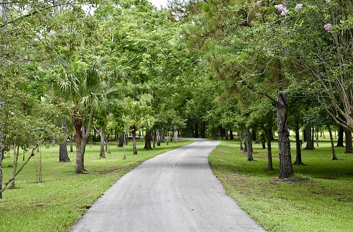 Triple Oak Preserve in Myakka City is one of the purchases Manatee County made using funds collected from the 2020 referendum.