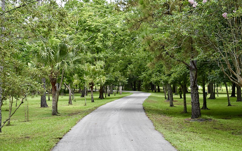 Triple Oak Preserve in Myakka City is one of the purchases Manatee County made using funds collected from the 2020 referendum.