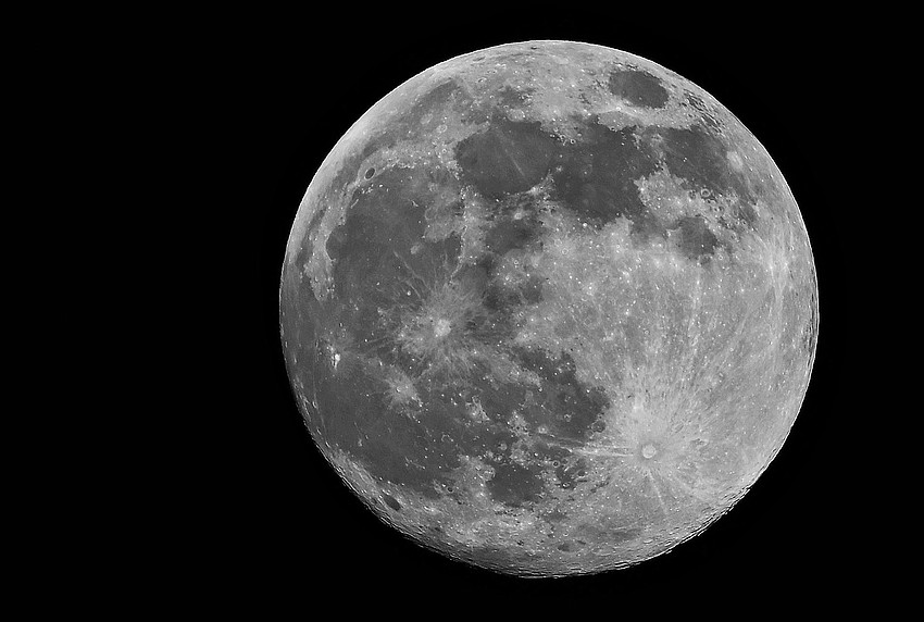 Gordon Silver took this photo of a full moon shining brightly over Lakewood Ranch.
