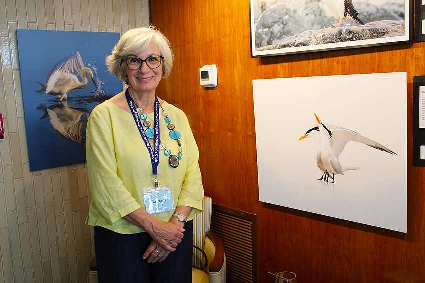Photographer Barbara Miciak stands beside the image she captured of two terns on Lido Beach. She and 30 other photographers shared their work at a reception for the unveiling of a new gallery at Plymouth Harbor on May 12.