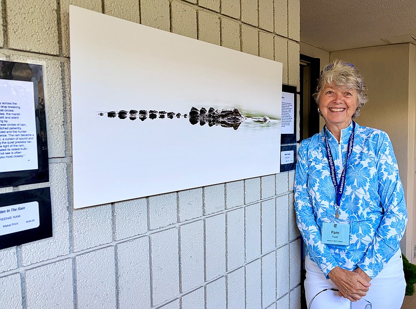 Pam Truitt has a gator-centric piece in the outdoor section of the Plymouth Harbor gallery.