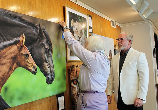 Photographer Rick Waid looks on as curator Anita Pihl affixes a blue ribbon to his piece, "Wild Mare with Foal," at the May 12 reception for a gallery by local photographers up now at Plymouth Harbor.