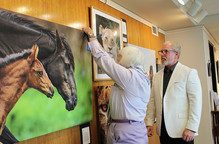 Photographer Rick Waid looks on as curator Anita Pihl affixes a blue ribbon to his piece, "Wild Mare with Foal," at the May 12 reception for a gallery by local photographers up now at Plymouth Harbor.